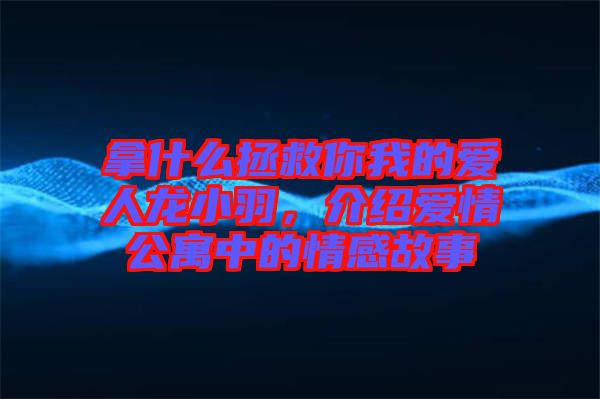 拿什么拯救你我的愛(ài)人龍小羽，介紹愛(ài)情公寓中的情感故事