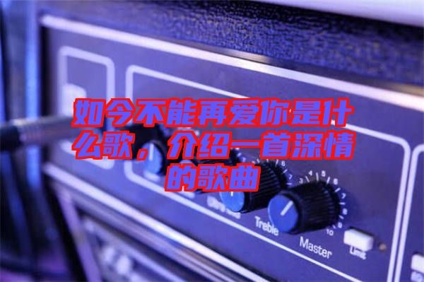 如今不能再愛你是什么歌，介紹一首深情的歌曲