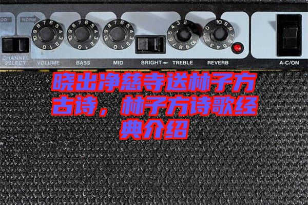曉出凈慈寺送林子方古詩，林子方詩歌經典介紹