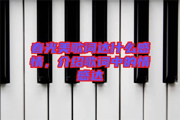 春光美歌詞達什么感情，介紹歌詞中的情感達