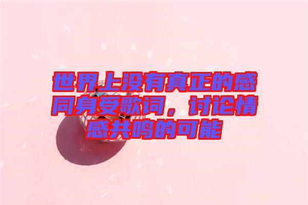 世界上沒(méi)有真正的感同身受歌詞，討論情感共鳴的可能