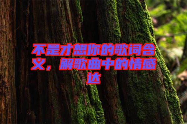 不是才想你的歌詞含義，解歌曲中的情感達