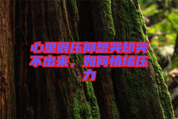 心里很壓抑想哭卻哭不出來，如何情緒壓力
