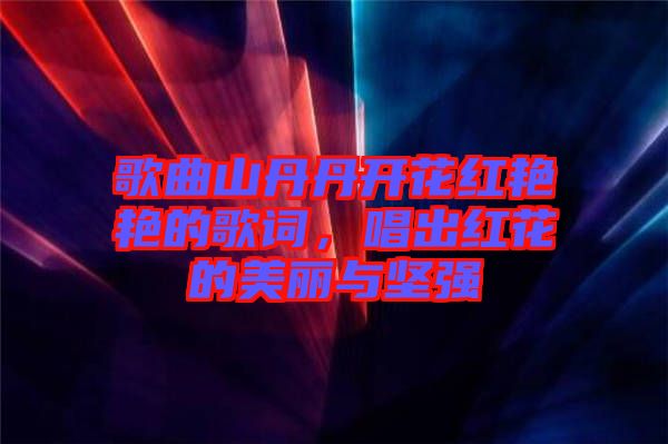 歌曲山丹丹開花紅艷艷的歌詞，唱出紅花的美麗與堅強