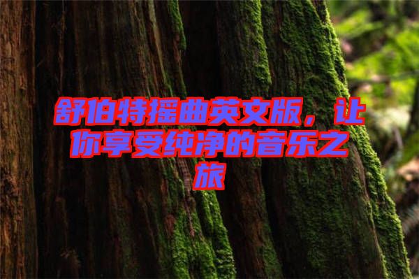 舒伯特?fù)u曲英文版，讓你享受純凈的音樂(lè)之旅