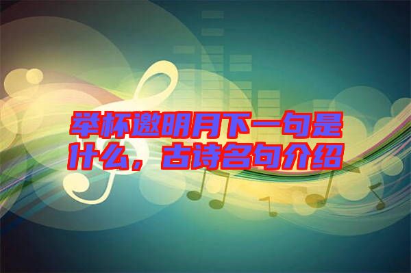 舉杯邀明月下一句是什么，古詩名句介紹