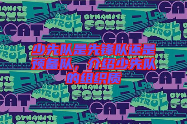 少先隊(duì)是先鋒隊(duì)還是預(yù)備隊(duì)，介紹少先隊(duì)的組織質(zhì)