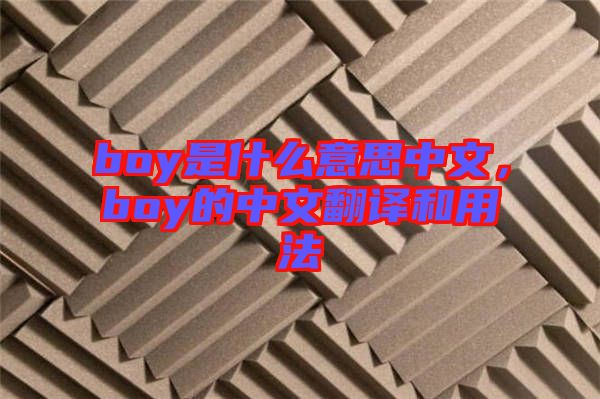 boy是什么意思中文，boy的中文翻譯和用法