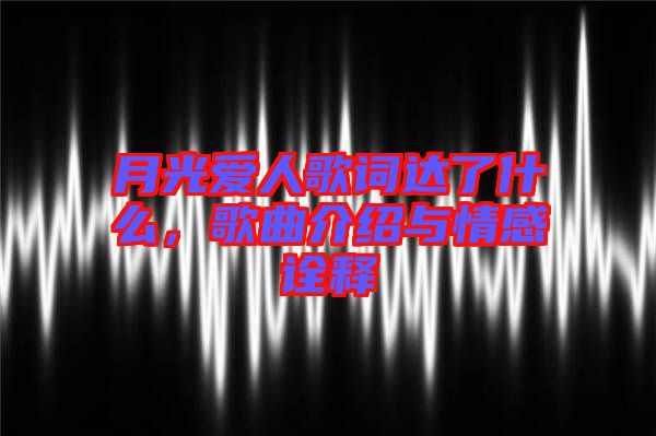 月光愛人歌詞達(dá)了什么，歌曲介紹與情感詮釋