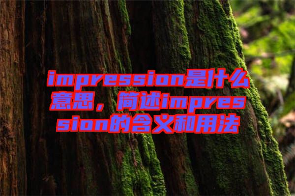 impression是什么意思，簡述impression的含義和用法