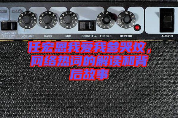 任宏恩我愛我爹哭墳，網(wǎng)絡熱詞的解讀和背后故事