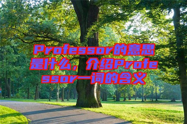 Professor的意思是什么，介紹Professor一詞的含義