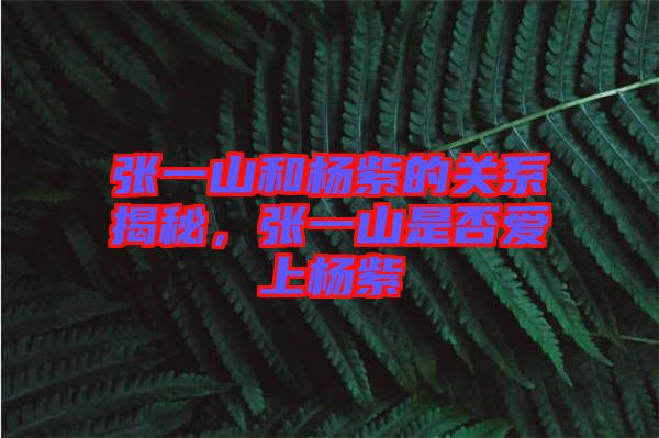 張一山和楊紫的關(guān)系揭秘，張一山是否愛上楊紫
