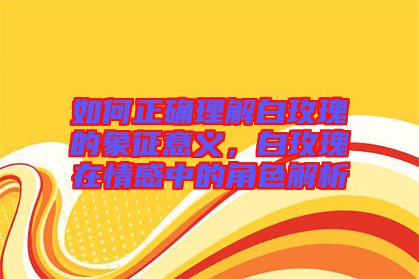 如何正確理解白玫瑰的象征意義，白玫瑰在情感中的角色解析