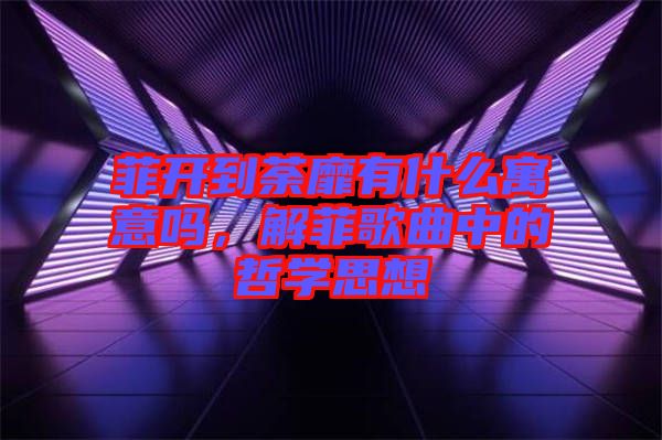 菲開到荼靡有什么寓意嗎，解菲歌曲中的哲學(xué)思想