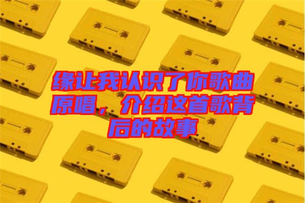 緣讓我認(rèn)識(shí)了你歌曲原唱，介紹這首歌背后的故事