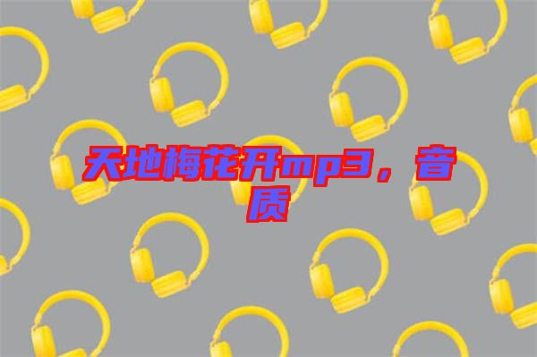 天地梅花開mp3，音質(zhì)