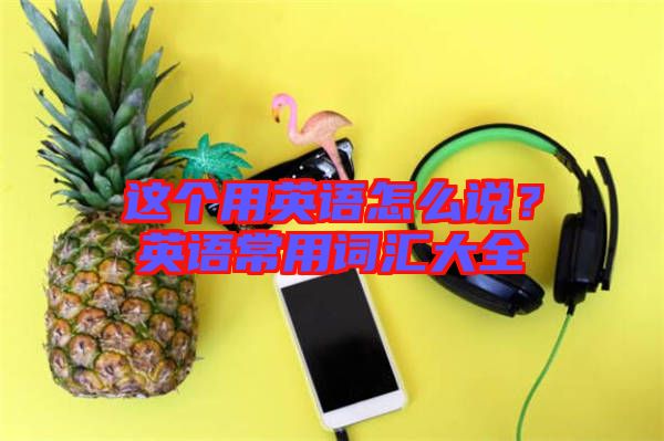 這個用英語怎么說？英語常用詞匯大全