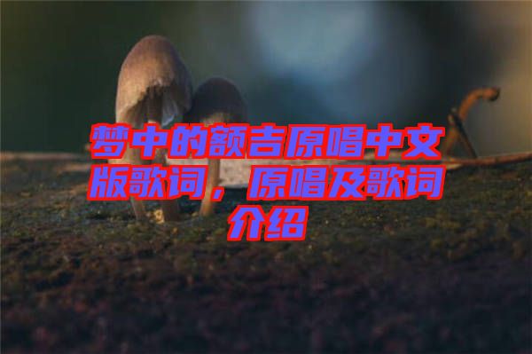 夢中的額吉原唱中文版歌詞，原唱及歌詞介紹