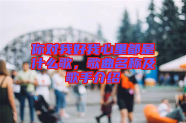 你對(duì)我好我心里都是什么歌，歌曲名稱及歌手介紹