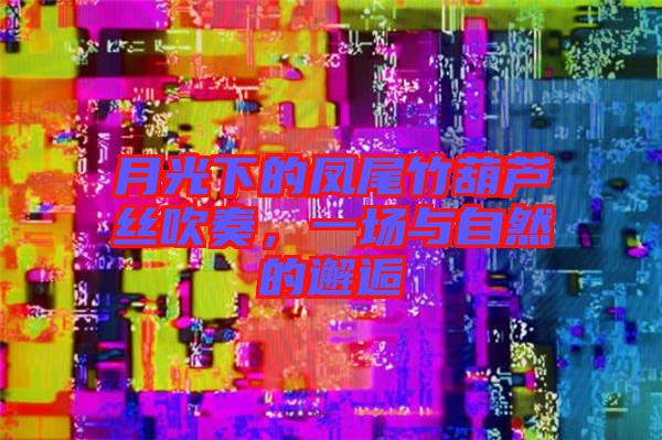 月光下的鳳尾竹葫蘆絲吹奏，一場與自然的邂逅