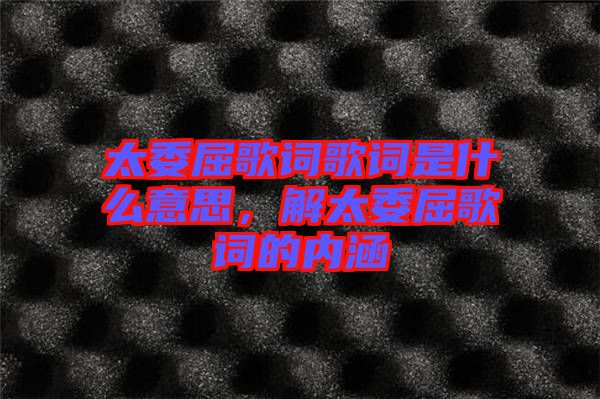 太委屈歌詞歌詞是什么意思，解太委屈歌詞的內(nèi)涵