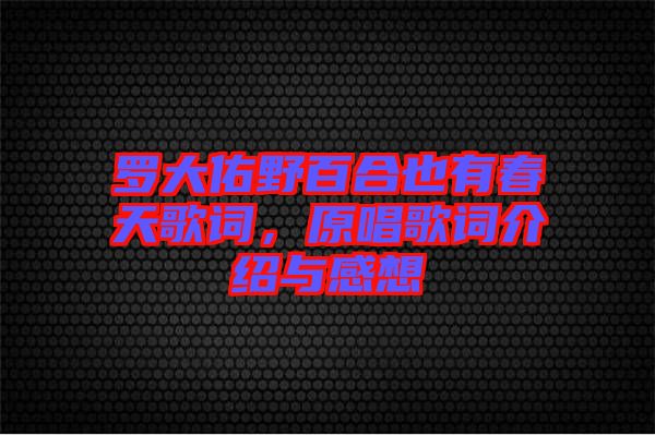 羅大佑野百合也有春天歌詞，原唱歌詞介紹與感想