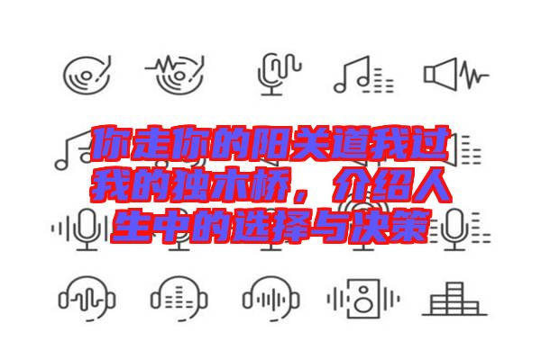 你走你的陽(yáng)關(guān)道我過(guò)我的獨(dú)木橋，介紹人生中的選擇與決策