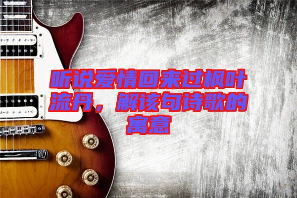 聽說愛情回來過楓葉流丹，解該句詩歌的寓意