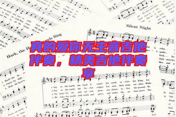 真的愛你無主音吉他伴奏，精美吉他伴奏享