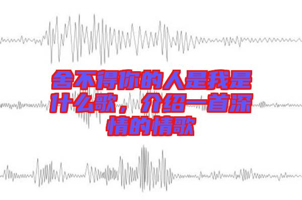 舍不得你的人是我是什么歌，介紹一首深情的情歌