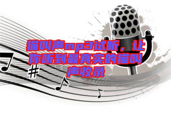 貓叫聲mp3試聽，讓你聽到最真實的貓叫聲收錄