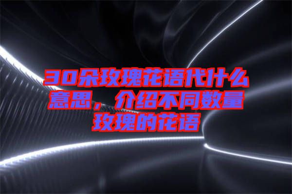 30朵玫瑰花語代什么意思，介紹不同數(shù)量玫瑰的花語