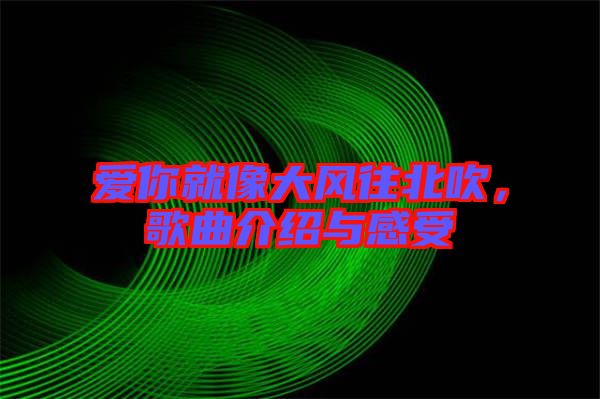 愛你就像大風(fēng)往北吹，歌曲介紹與感受