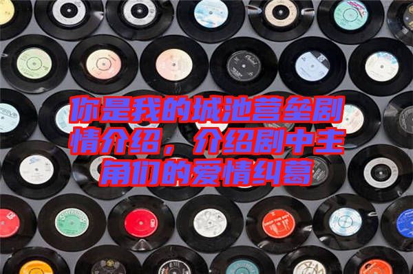 你是我的城池營壘劇情介紹，介紹劇中主角們的愛情糾葛