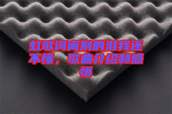 虹歌詞離別的淚我還不懂，歌曲介紹和感悟