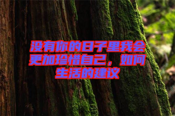 沒有你的日子里我會更加珍惜自己，如何生活的建議