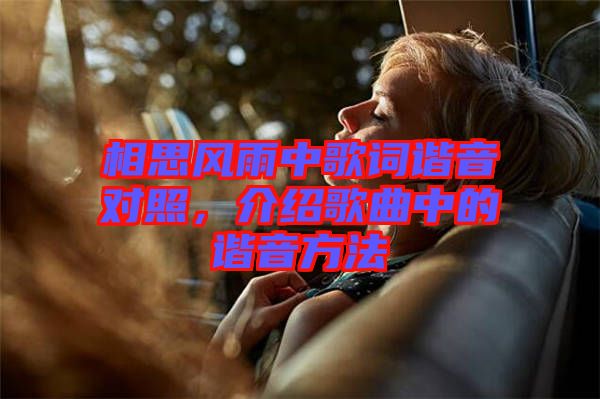 相思風雨中歌詞諧音對照，介紹歌曲中的諧音方法