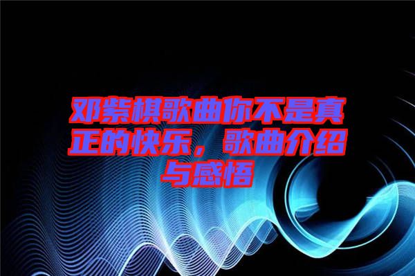 鄧紫棋歌曲你不是真正的快樂(lè)，歌曲介紹與感悟