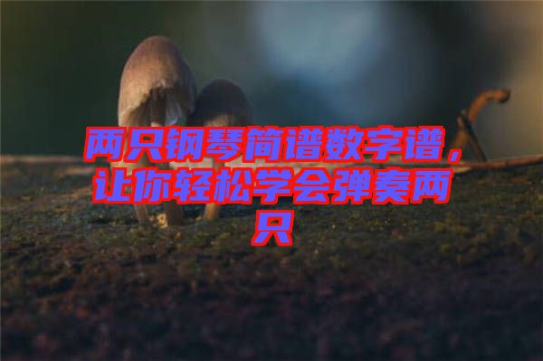 兩只鋼琴簡譜數(shù)字譜，讓你輕松學(xué)會彈奏兩只