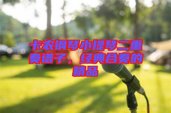 卡農(nóng)鋼琴小提琴二重奏譜子，經(jīng)典合奏的精品