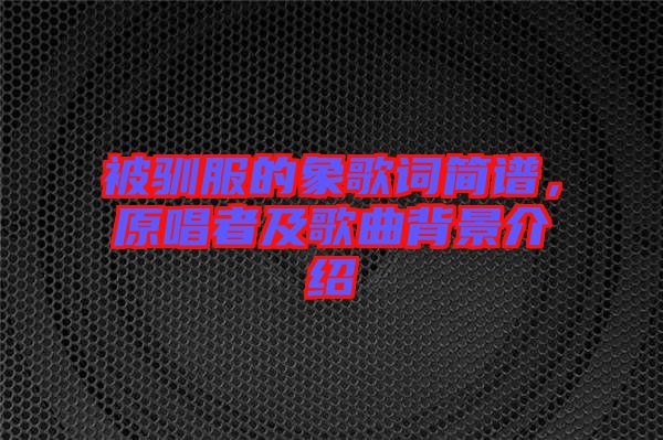 被馴服的象歌詞簡譜，原唱者及歌曲背景介紹