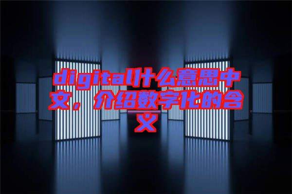 digital什么意思中文，介紹數(shù)字化的含義