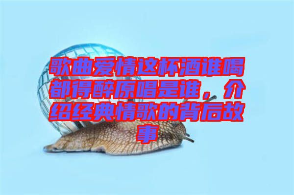歌曲愛情這杯酒誰喝都得醉原唱是誰，介紹經(jīng)典情歌的背后故事