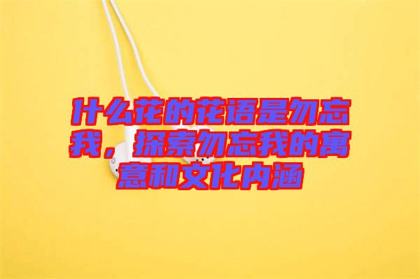 什么花的花語(yǔ)是勿忘我，探索勿忘我的寓意和文化內(nèi)涵