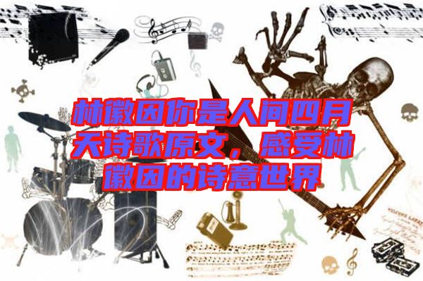 林徽因你是人間四月天詩歌原文，感受林徽因的詩意世界