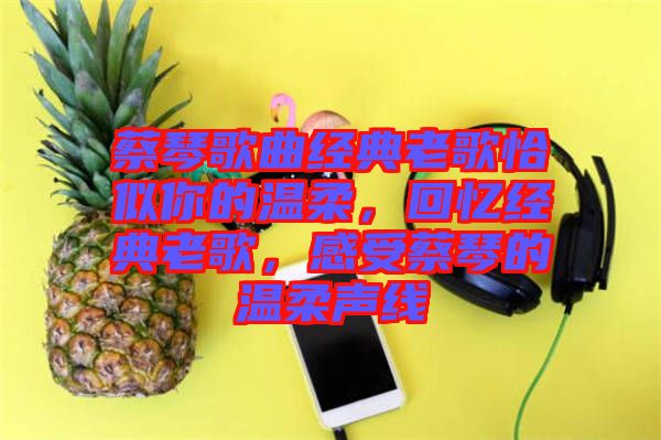 蔡琴歌曲經典老歌恰似你的溫柔，回憶經典老歌，感受蔡琴的溫柔聲線