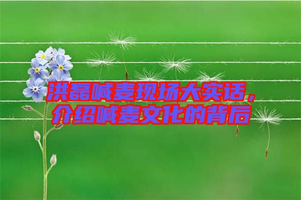 洪磊喊麥現(xiàn)場(chǎng)大實(shí)話，介紹喊麥文化的背后