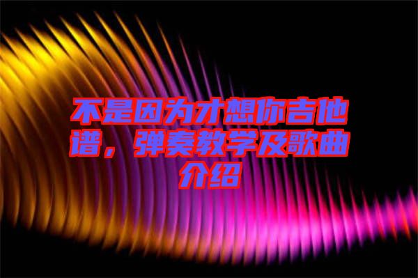 不是因?yàn)椴畔肽慵V，彈奏教學(xué)及歌曲介紹