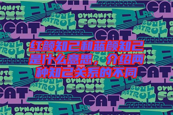 紅顏知己和藍(lán)顏知己是什么意思，介紹兩種知己關(guān)系的不同